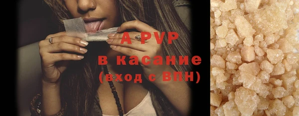 индика Кулебаки