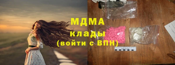 индика Кулебаки