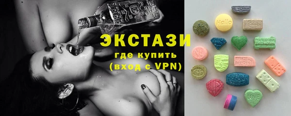 индика Кулебаки