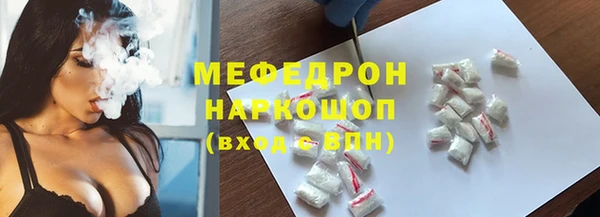 индика Кулебаки