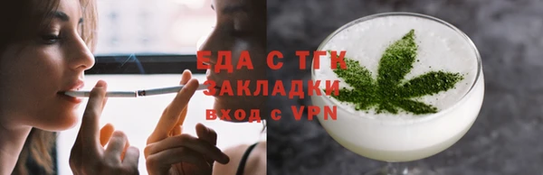 индика Кулебаки