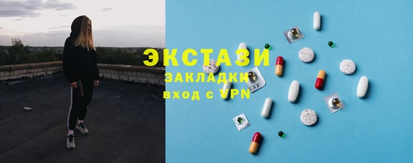индика Кулебаки