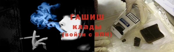 индика Кулебаки