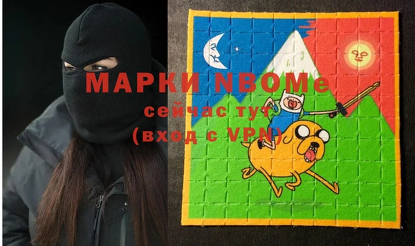 индика Кулебаки