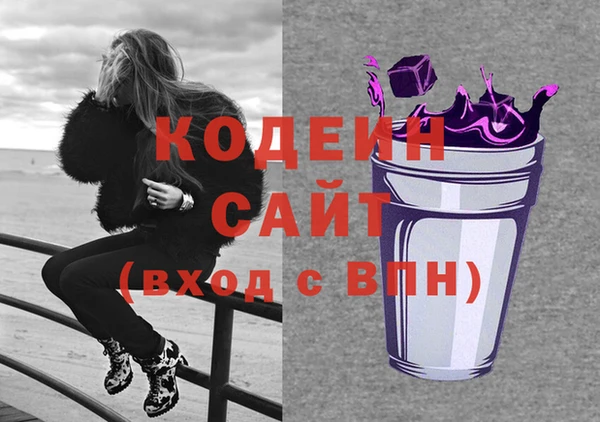 индика Кулебаки