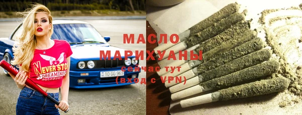 индика Кулебаки