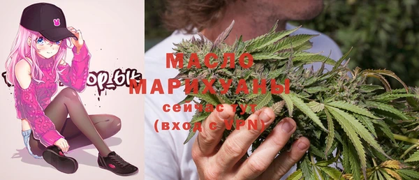 индика Кулебаки