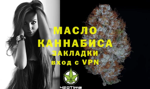 индика Кулебаки