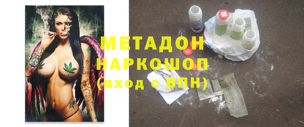 индика Кулебаки