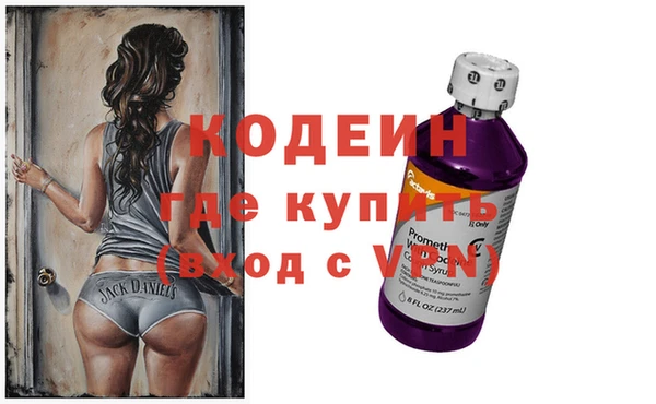 индика Кулебаки