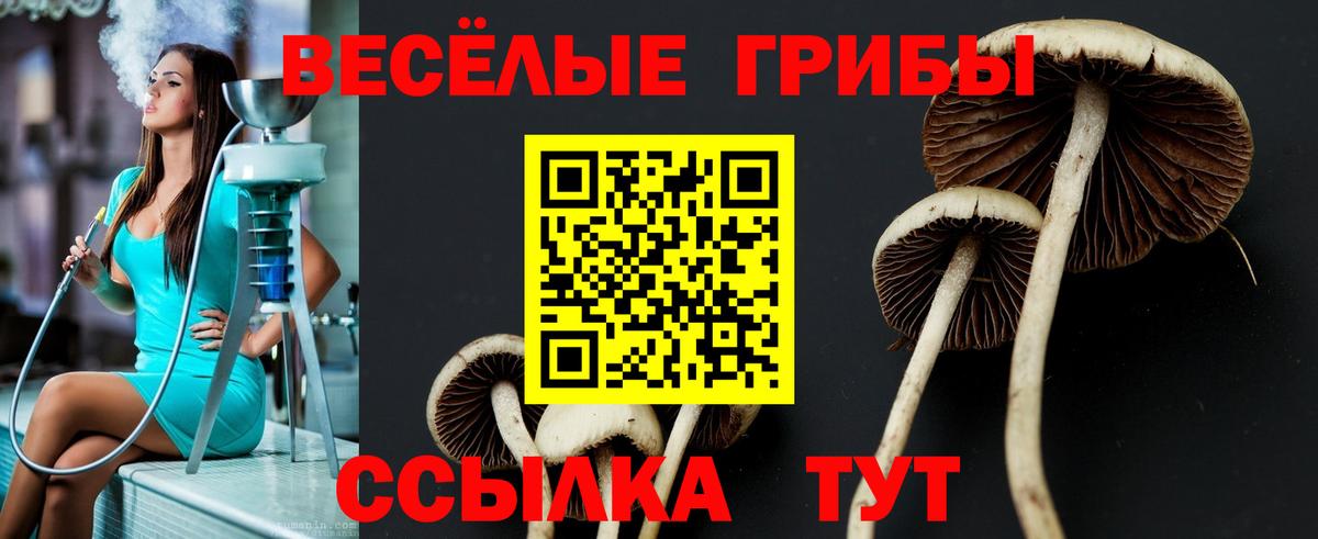 Янаул  Псилоцибиновые грибы Psilocybine cubensis  наркотики  Вход с VPN 